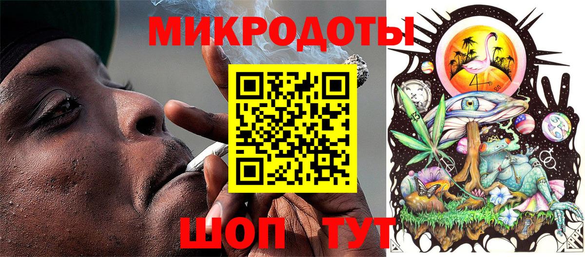 Галлюциногенные грибы Psilocybe Звенигород