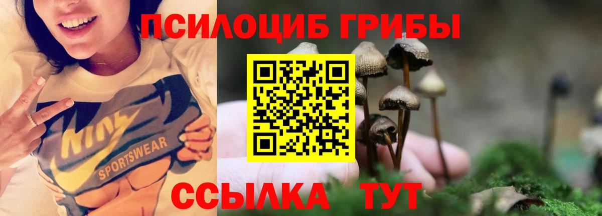 Псилоцибиновые грибы Magic Shrooms  Вход с VPN  Звенигород  Псилоцибиновые грибы ЛСД 